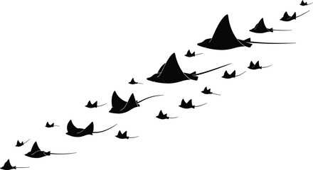 Fototapeta premium Black silhouette vector illustration of a school of stingrays swimming together in a diagonal formation isolated on a clean white background background.