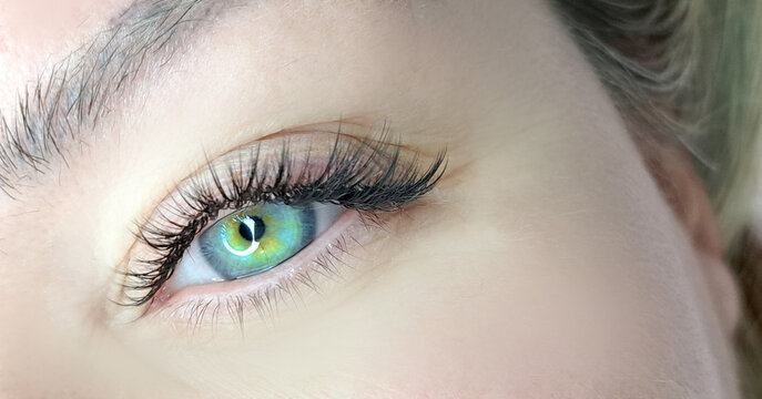 Close up of female eye with eyelash extensions ,eyelash extension procedure.2d volume, 3d volume, classical lashes,Russian volume,mega volume, new set.