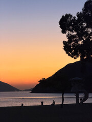 Serene beach sunset with silhouetted trees and calm ocean waters