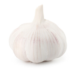 One fresh garlic bulb isolated on white