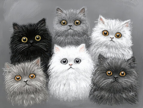 Close-up view of six distinctly colored cats arranged in two rows, each showcasing detailed fur textures and expressive eyes Cheerful and ironic tone No visible setting or background - AI-Generated