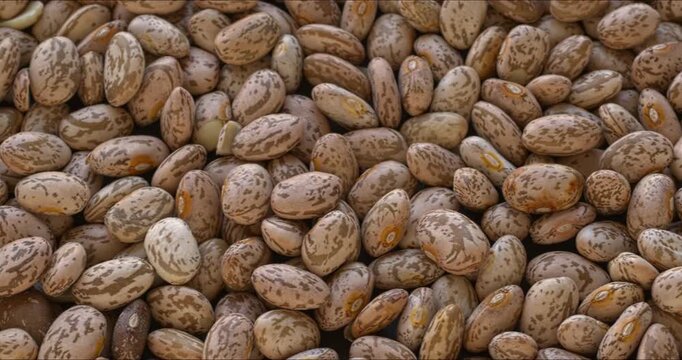 Close-up of pinto beans, an important ingredient of Mexican cuisine. Background texture, camera slide.