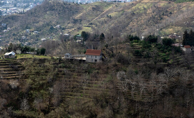 Fototapeta premium Rural hillside village with terraced fields and river valley view around Batumi, Gerogia