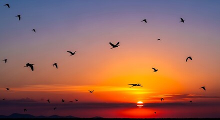 Obraz premium Sunset over ocean with flying birds.