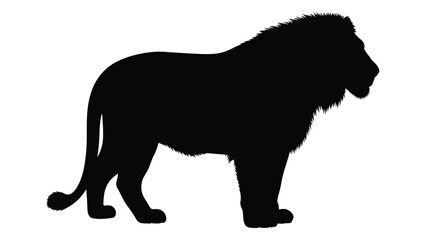 A striking silhouette of a majestic male lion showcasing its powerful build and mane © Payara