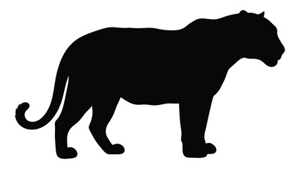 A striking silhouette of a large feline likely a tiger shown in profile © Payara