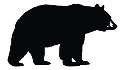 Fototapeta premium A stark silhouette of a bear is prominently displayed against a white background