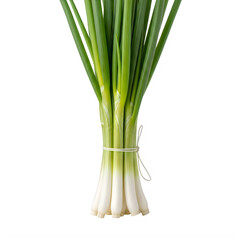 Fresh green leeks neatly bundled isolated on transparent background