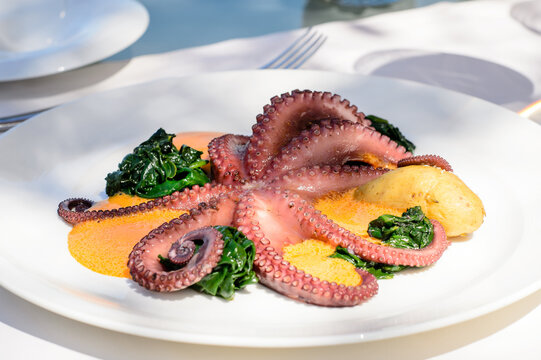 Cooked octopus tentacles on white plate with spinach and potato