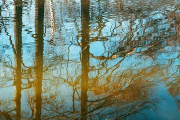 Poster Reflectie Leafless forest reflected in calm blue lake at golden hour, gentle ripples forming organic abstract patterns on water surface.  © Bits and Splits