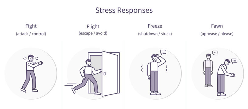 Stress Responses Fight Flight Freeze Fawn Infographic