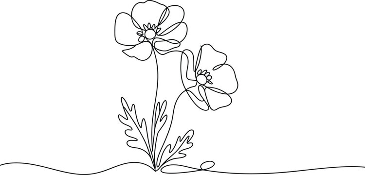 Continuous one line drawing of two blooming poppy flowers with leaves isolated on white background minimalist floral sketch for design.