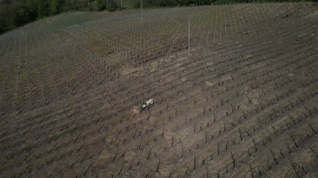 Tracked vineyard tractor performing soil leveling and inter-row maintenance in Colli Piacentini wine region, Piacenza, Italy, operating on structured vineyard pattern across hillside terrain