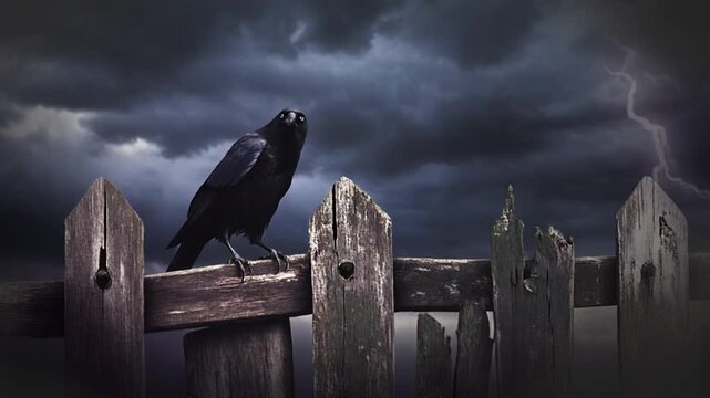 A black bird perches on a weathered wooden fence against a dramatic, stormy sky background
