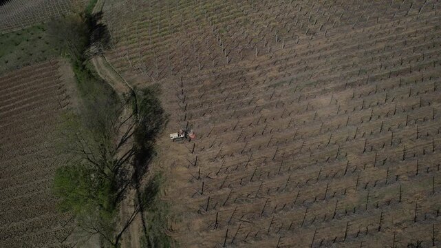 Tracked vineyard tractor performing soil leveling and inter-row maintenance in Colli Piacentini wine region, Piacenza, Italy, operating on structured vineyard pattern across hillside terrain