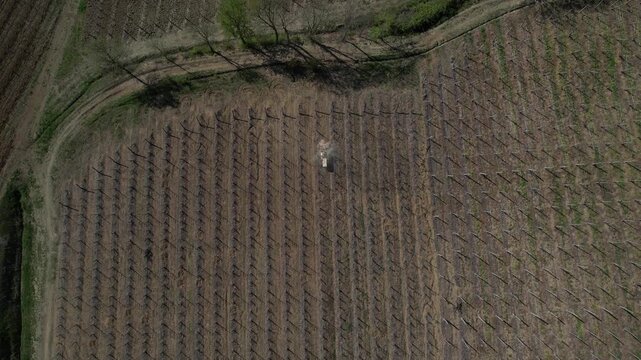Tracked vineyard tractor performing soil leveling and inter-row maintenance in Colli Piacentini wine region, Piacenza, Italy, operating on structured vineyard pattern across hillside terrain