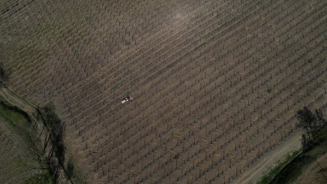 Tracked vineyard tractor performing soil leveling and inter-row maintenance in Colli Piacentini wine region, Piacenza, Italy, operating on structured vineyard pattern across hillside terrain