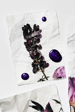 Artistic display of photos of flowers and drops of nail polish