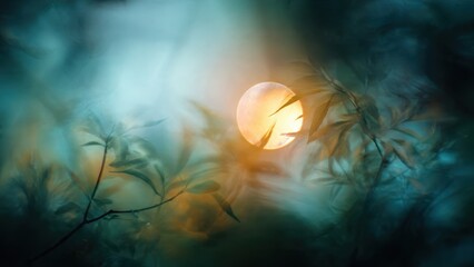 Fototapeta premium Abstract sun through leaves, dreamy