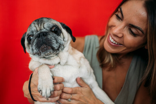 Senior pug and his human 