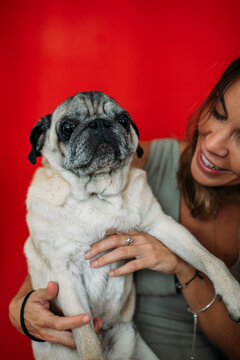 Senior pug and his human 