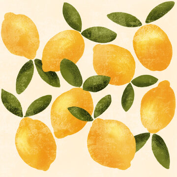 Hand drawn lemon illustration