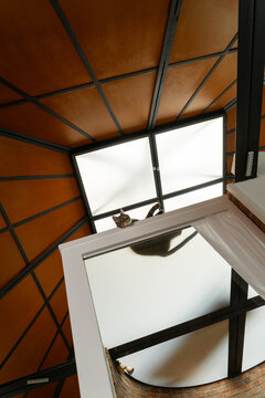 Cat Ceiling in Modern Interior Space
