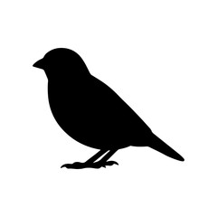 Obraz premium Black sparrow bird silhouette isolated on white background songbird icon vector