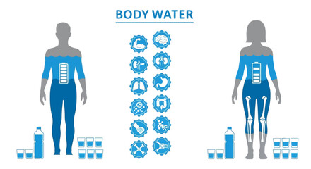 Human Body Water Composition Illustrated with Anatomical Diagrams and Hydration Process Icons