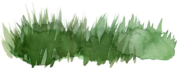 Watercolor illustration of a lush green grass tuft with organic paint texture and expressive brushstrokes. Ideal for nature-themed designs, eco-friendly concepts, spring meadows