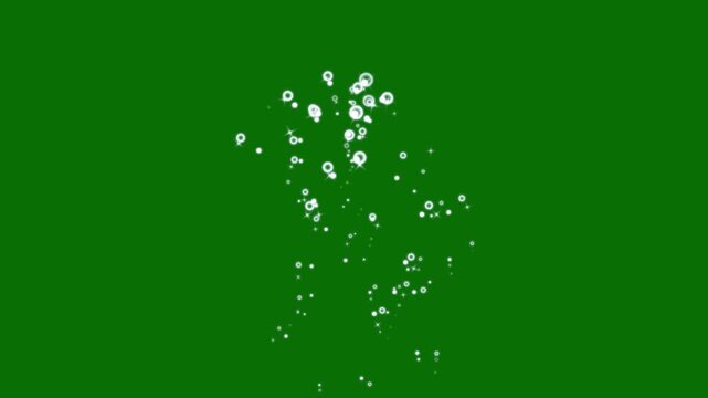 Twinkle stars line glitter sparkles with bubbles pop shine animation, blinking cartoon stars, star sparkle vector doodles, glowing light effect, retro shine movement on green screen background. 4k
