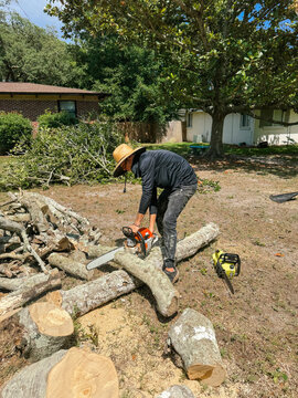 Man Cutting Tree with Chainsaw