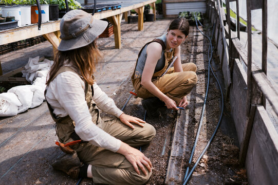 two woman farmers working in greenhouse together
