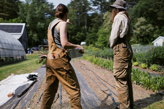 two farmers working and inspecting fields together on sunny day