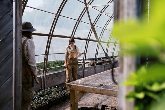 two woman farmers working in greenhouse together