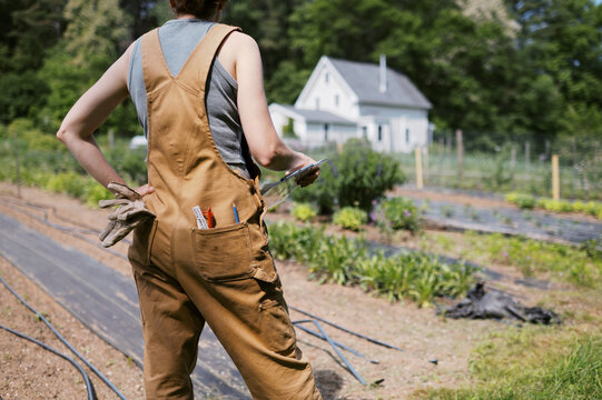 female farmer looking at fields in June with spreadsheet in arm