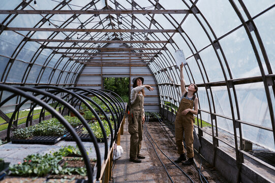 two woman farmers working in greenhouse together