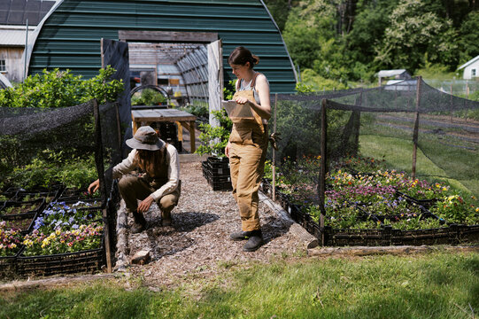 entrepreneur flower farmer talking with her employee 