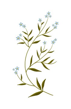 Wild blue flowers