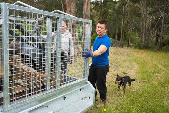 Gay couple unloading trailer of firewood at their rural property 