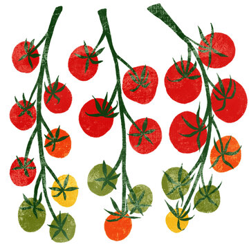 Tomatoes on the vine