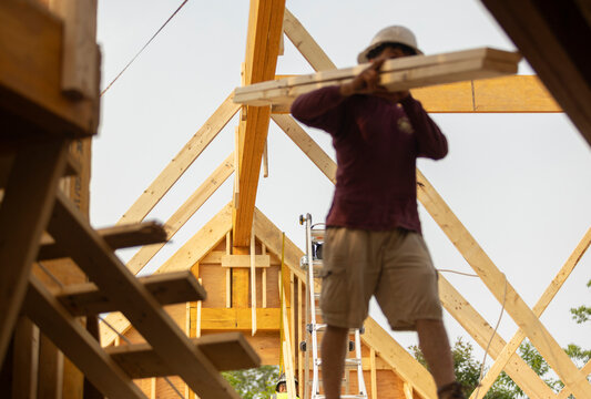 Construction worker carry wood