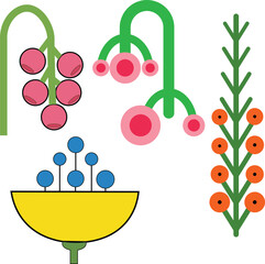 Stylized botanical with pink blue and orange berries