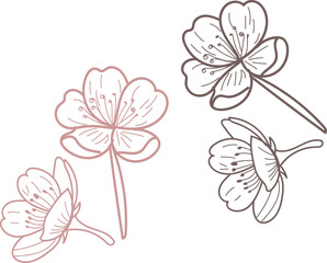 Two sets of delicate line cherry blossoms in pink and brown