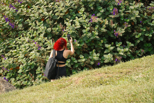 Person capturing nature in vibrant garden while exploring outdoors