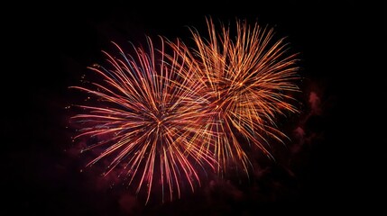 Bright fireworks burst in the dark night sky.