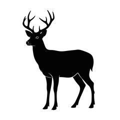 Obraz premium Silhouette of a majestic stag with large antlers 2.
