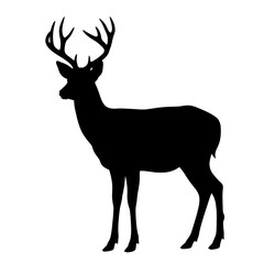 Obraz premium Silhouette of a majestic stag with large antlers 7.