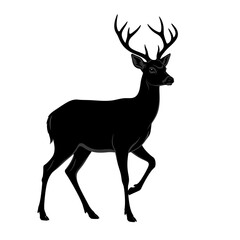 Fototapeta premium Silhouette of a majestic stag with large antlers walking 1.