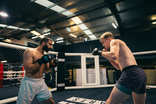 Two MMA fighters face off in a cage